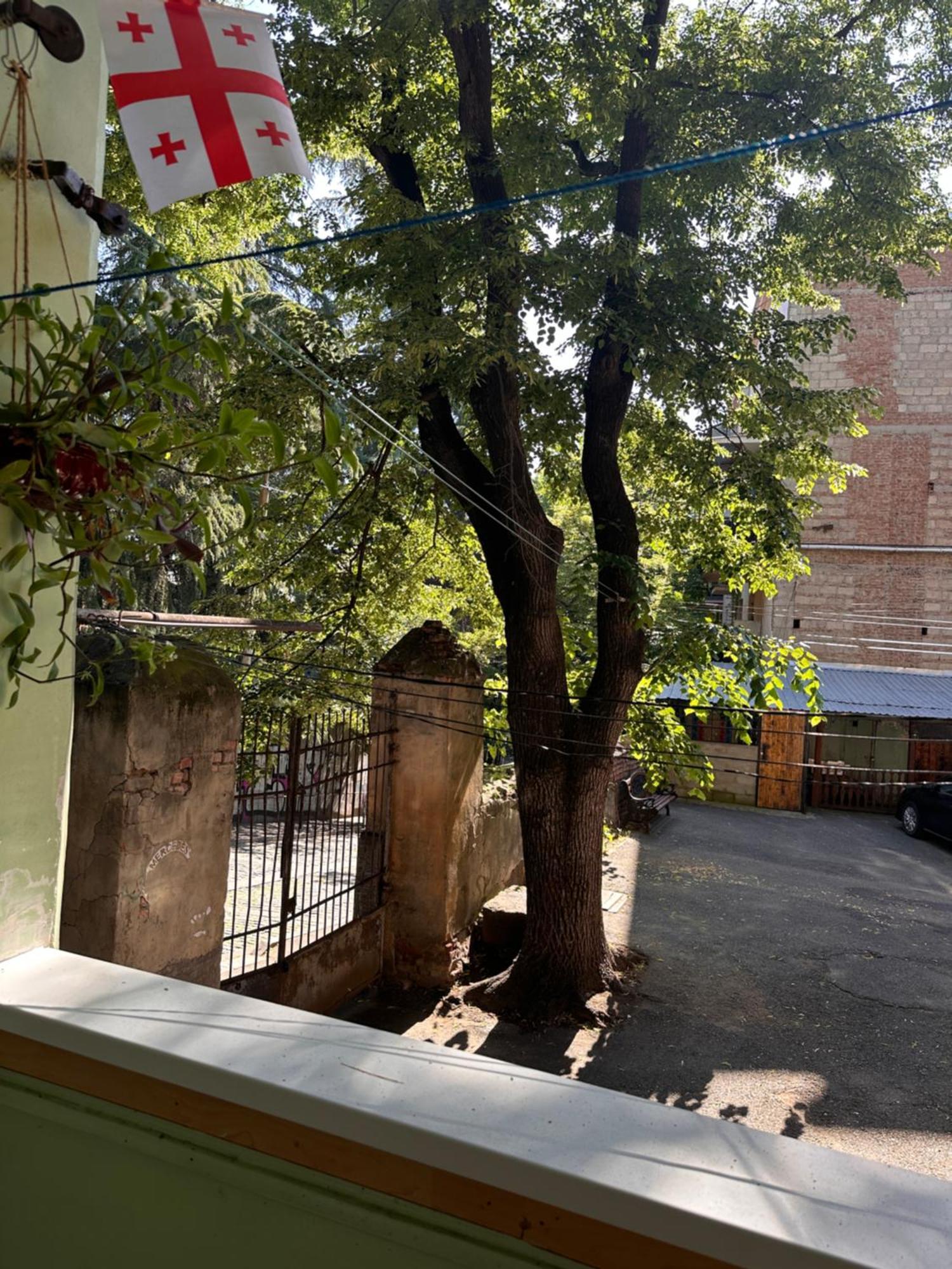 Authentic Old Tbilisi Apartment المظهر الخارجي الصورة